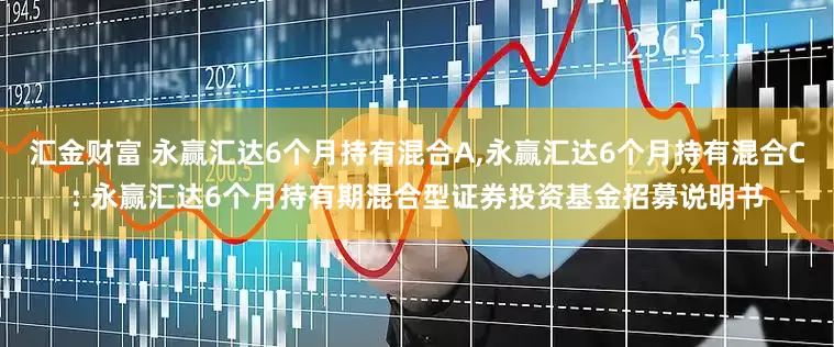 汇金财富 永赢汇达6个月持有混合A,永赢汇达6个月持有混合C: 永赢汇达6个月持有期混合型证券投资基金招募说明书