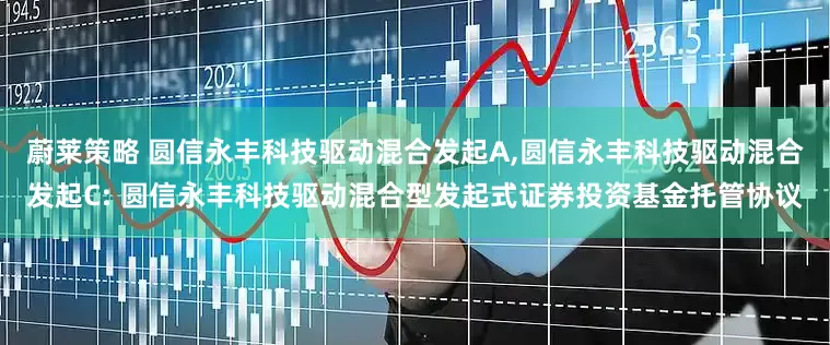 蔚莱策略 圆信永丰科技驱动混合发起A,圆信永丰科技驱动混合发起C: 圆信永丰科技驱动混合型发起式证券投资基金托管协议