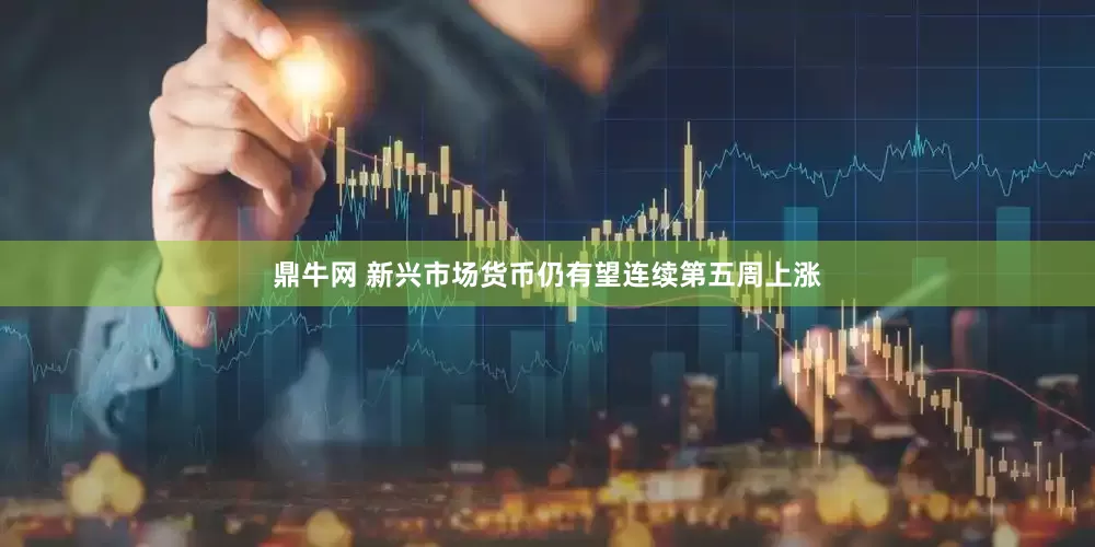 鼎牛网 新兴市场货币仍有望连续第五周上涨