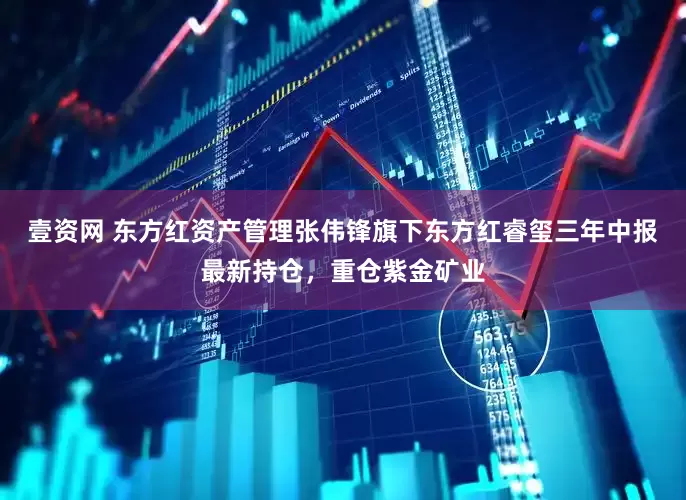 壹资网 东方红资产管理张伟锋旗下东方红睿玺三年中报最新持仓，重仓紫金矿业