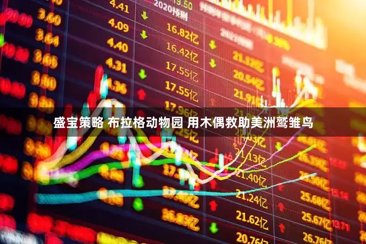 盛宝策略 布拉格动物园 用木偶救助美洲鹫雏鸟