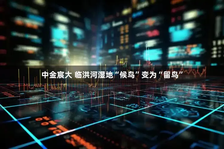 中金宸大 临洪河湿地“候鸟”变为“留鸟”
