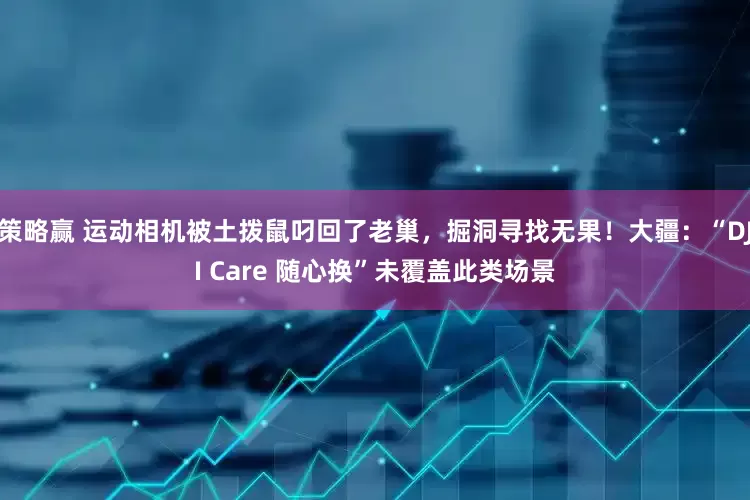 策略赢 运动相机被土拨鼠叼回了老巢，掘洞寻找无果！大疆：“DJI Care 随心换”未覆盖此类场景