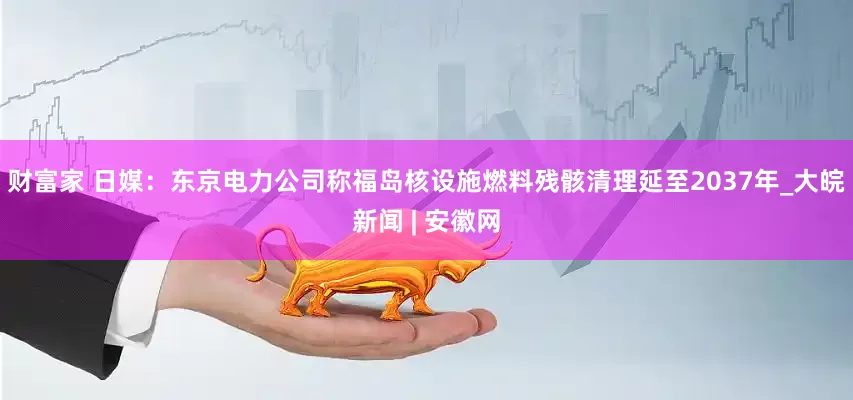 财富家 日媒：东京电力公司称福岛核设施燃料残骸清理延至2037年_大皖新闻 | 安徽网
