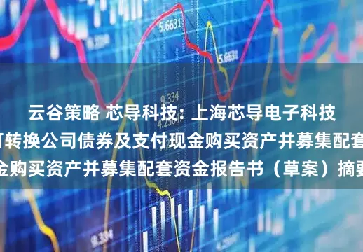 云谷策略 芯导科技: 上海芯导电子科技股份有限公司发行可转换公司债券及支付现金购买资产并募集配套资金报告书（草案）摘要