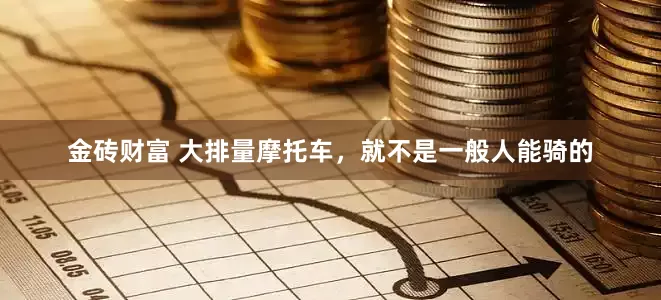 金砖财富 大排量摩托车，就不是一般人能骑的