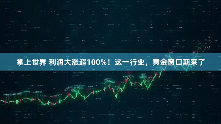 掌上世界 利润大涨超100%！这一行业，黄金窗口期来了